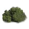 24 Pack: SuperMoss® Preserved Forest Reindeer Moss